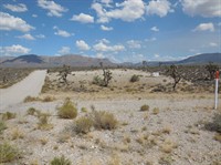 plot of land available - 2