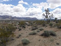 plot of land available - 3