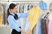 established dry cleaners - 1