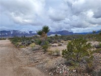 plot of land available - 3