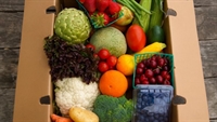 online retail service - 1