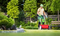 established lawn care co - 1
