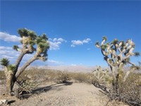 plot of land available - 2
