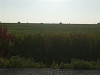 commercial land with immense - 2