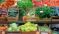 wholesale produce distribution company - 1