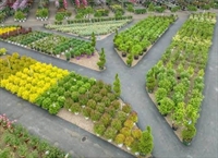 successful midwest garden center - 1