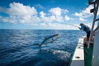 maui fishing charters boat - 1