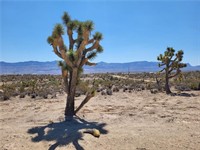 plot of land available - 1