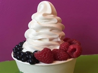 frozen yogurt juice shop - 1