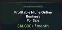 profitable niche weekly newsletter - 1