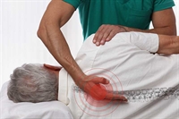 well established chiropractic wellness - 1