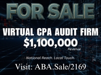virtual cpa audit firm - 1