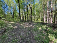 secluded wooded land north - 2