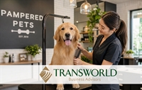 established pet grooming business - 1
