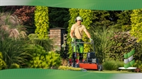 established landscaping lawn maintenance - 1