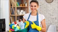 established residential cleaning franchise - 1