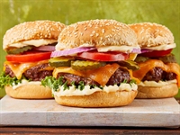 established national burger brand - 1