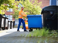 established junk removal business - 1