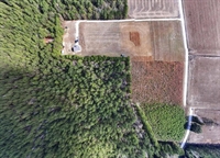 plot of land conway - 2