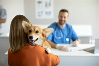 veterinary practice real estate - 1