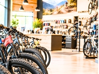 established trek dealer full-service - 1