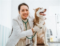 spacious west valley veterinary - 1