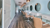 luxury salon opportunity pinellas - 1