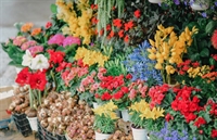 established florist gift shop - 1