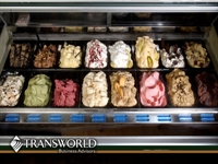 gelato shop hillsborough county - 1