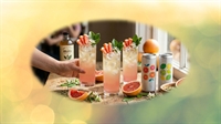 elite mood-elevating wellness beverage - 1