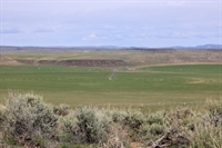 eastern oregon farmland auction - 3