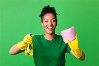 profitable online cleaning business - 1