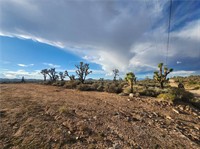 plot of land available - 3
