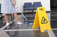 cleaning services with established - 3