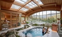 fully built out spa - 1