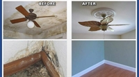 expansive mold remediation cleanup - 1