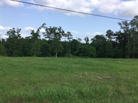 14 acre unrestricted land - 1