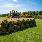 landscape supply yard nwa - 1