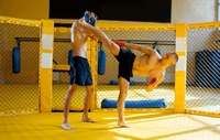 martial arts mma gym - 1