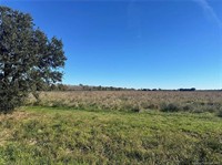 plot of land available - 3