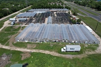 income producing plant nursery - 2