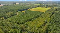 plot of land south - 1