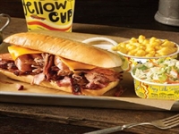 well-known dickey's bbq franchise - 3