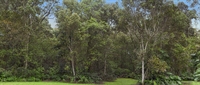 scenic backings rentals production - 1