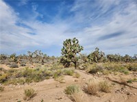 plot of land available - 2