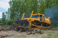 land clearing tree service - 3