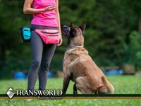 award winning franchise dog - 1