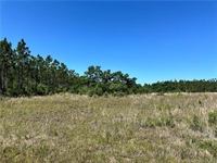 3 acre commercial land - 3