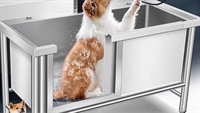 pet grooming salon at - 1
