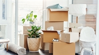 south florida family-owned moving - 1